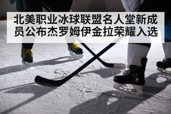 北美职业冰球联盟名人堂新成员公布杰罗姆伊金拉荣耀入选