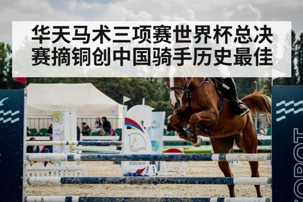 horse show jumping