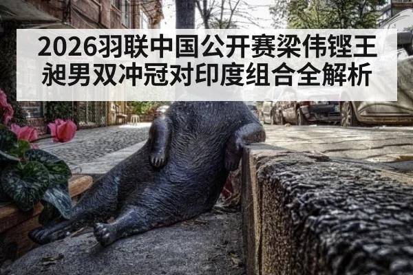 2026羽联中国公开赛梁伟铿王昶男双冲冠对印度组合全解析